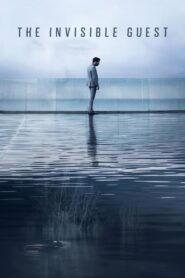 The Invisible Guest 2017