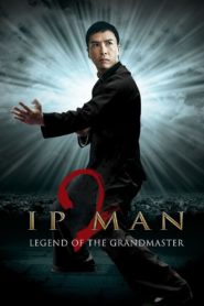 Ip Man 2 2010