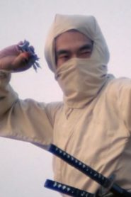 Re-Enter the New York Ninja 2021