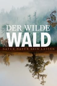 Der wilde Wald 2021