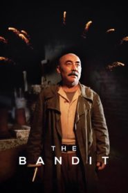 The Bandit 1996