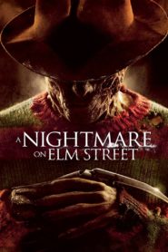 A Nightmare on Elm Street 2010