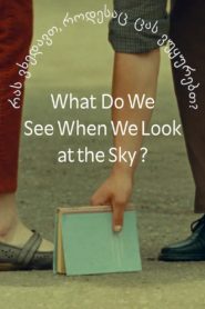 What Do We See When We Look at the Sky? 2021