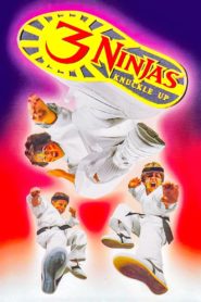 3 Ninjas Knuckle Up 1993