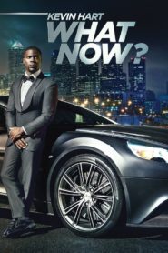 Kevin Hart: What Now? 2016