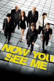 Now You See Me 2013