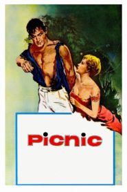 Picnic 1956
