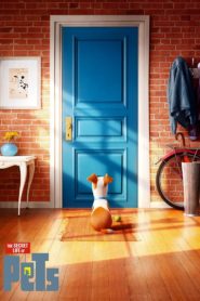 The Secret Life of Pets 2016