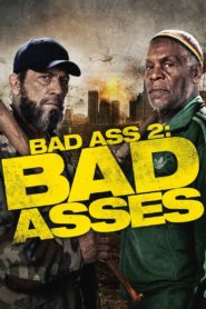 Bad Ass 2: Bad Asses 2014