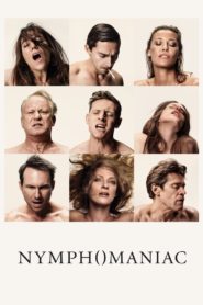 Nymphomaniac: Vol. I 2013