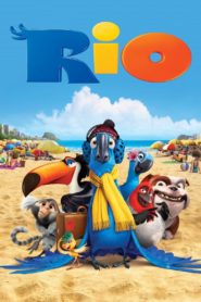 Rio 2011