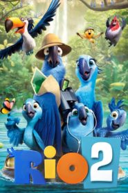 Rio 2 2014