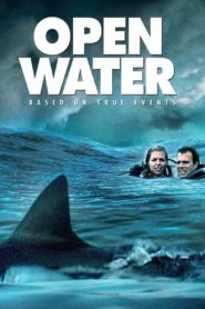 Open Water 2004