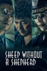 Sheep Without a Shepherd 2019