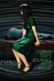 Long Day’s Journey into Night 2018