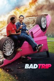 Bad Trip 2020