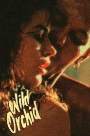 Wild Orchid 1989