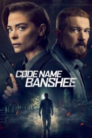 Code Name Banshee 2022