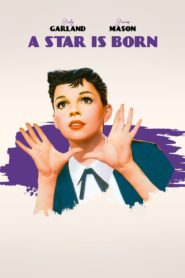 A Star Is Born 1954