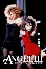 Angel III: The Final Chapter 1988