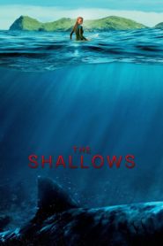 The Shallows 2016
