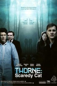 Thorne : Scaredycat 2010