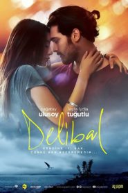 Delibal 2015