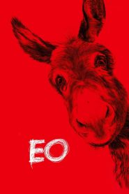 EO 2022