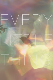Every Little Thing 2025