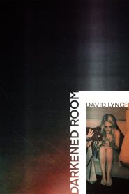 Darkened Room 2002