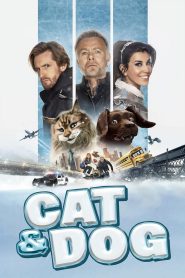 Cat and Dog 2024