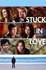 Stuck in Love 2013