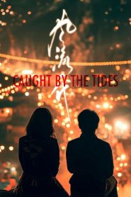 Caught by the Tides 2024