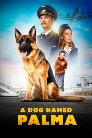 A Dog Named Palma 2021