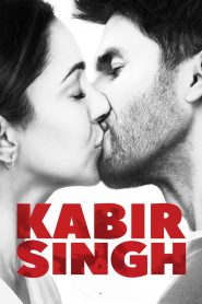 Kabir Singh 2019
