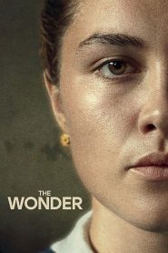The Wonder 2022