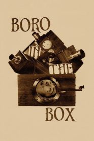 Boro in the Box 2014
