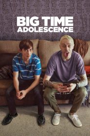 Big Time Adolescence 2020