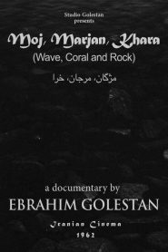 Wave, Coral and Rock 1962
