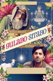 Gulabo Sitabo 2020
