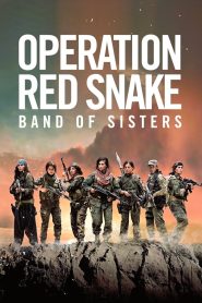 Sisters in Arms 2019