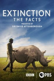 Extinction: The Facts 2020