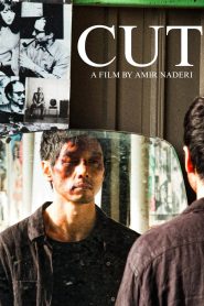 Cut 2011
