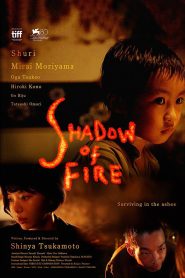 Shadow of Fire 2023