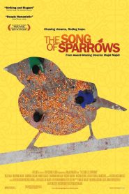 The Song of Sparrows 2008