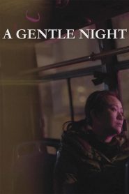 A Gentle Night 2018