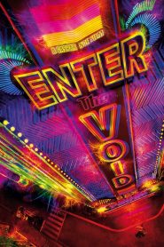 Enter the Void 2010