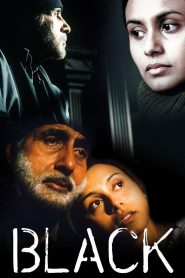 Black 2005