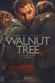 Walnut Tree 2020