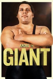 Andre the Giant 2018
